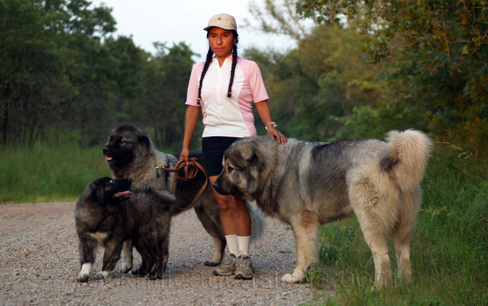 walk your dog everyday!
